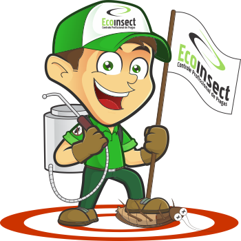 ecoinsect-quem-somos-personagem-3.png